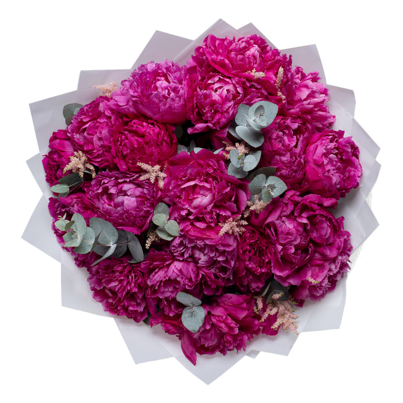 Peony Delight |Hot Pink Peonies|Bouquet